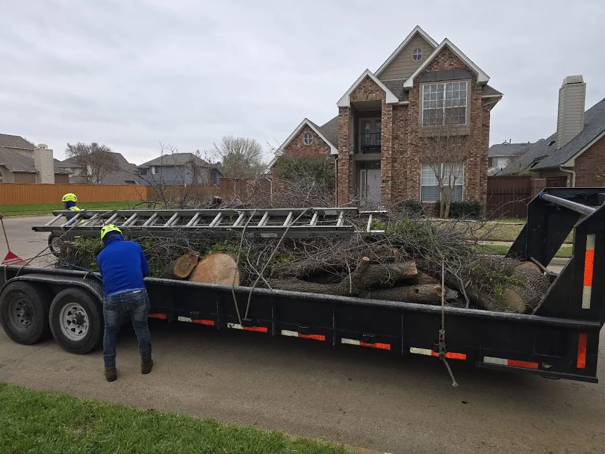Expert Tree Removal with proper safety equipment in Ralston